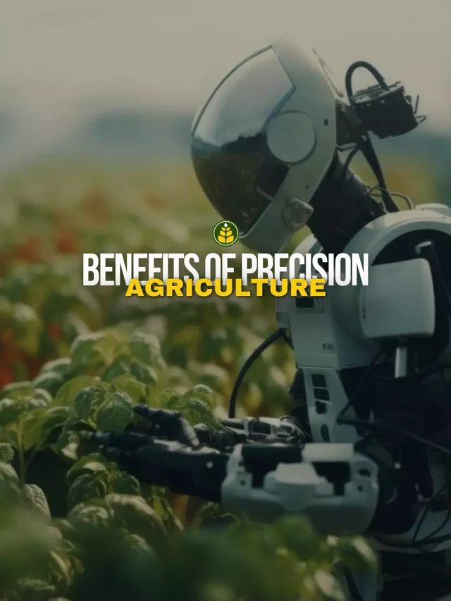 5 Benefits Of Precision Agriculture - Agriculture Review