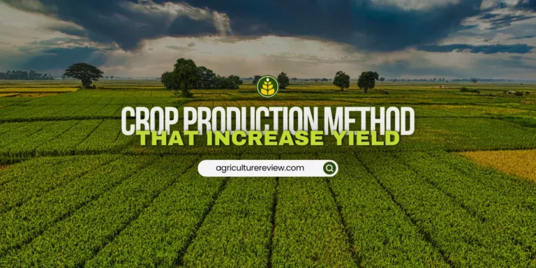 Explain any one method of crop production which ensures high yield