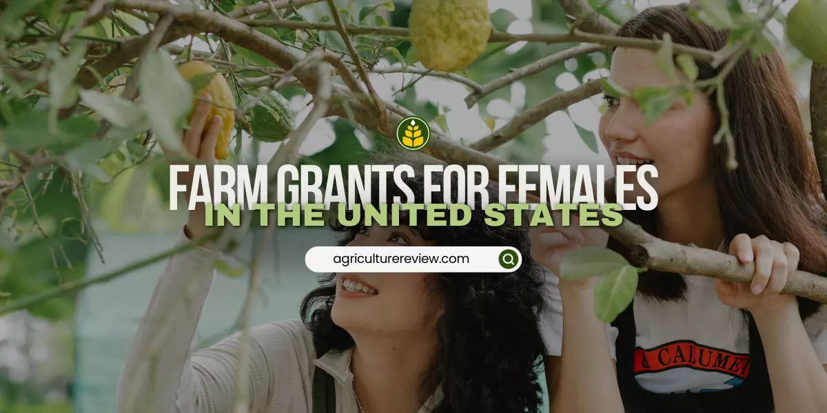 10 Farm Grants For Females In The United States