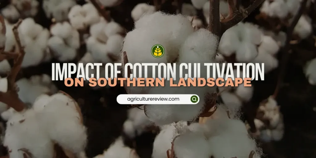 how-did-cotton-cultivation-transform-the-physical-landscape-of-the-south