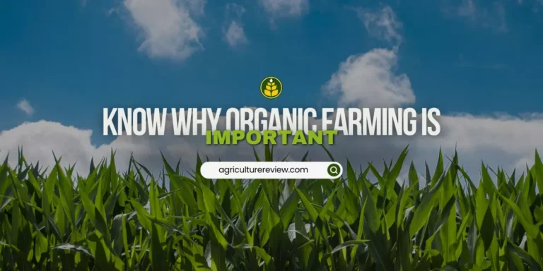 Organic farming is the need of time explain in brief