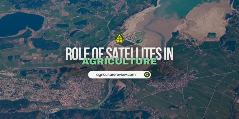 Satellites In Agriculture Can Enhance Farming Practices With Space Data
