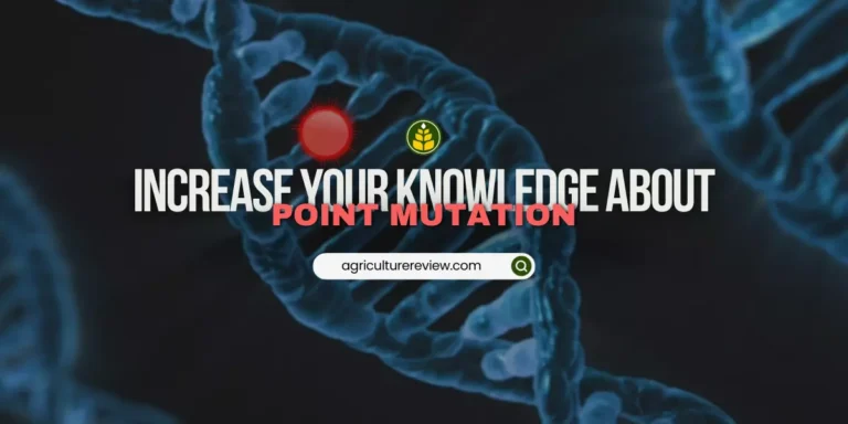 What do you understand by point mutation?