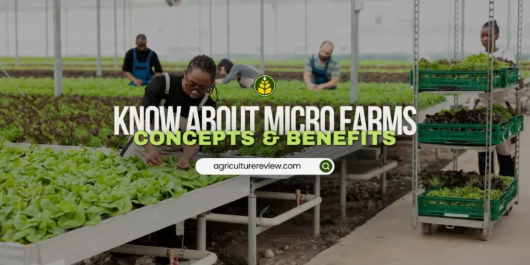 What Is A Micro Farm: Concept & Advantages