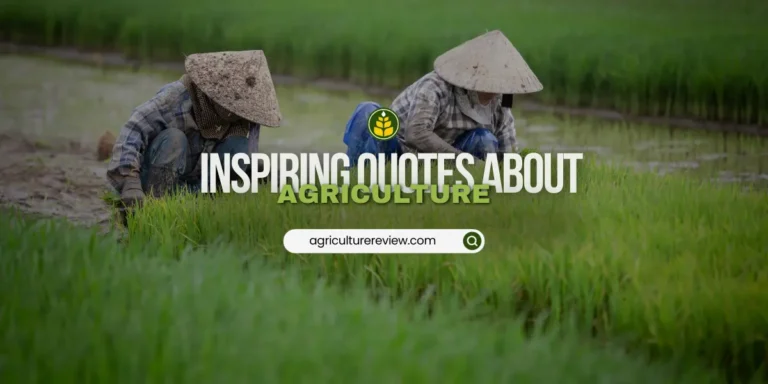 30 Agriculture Quotes That Inspire Farmers & Agriculturists