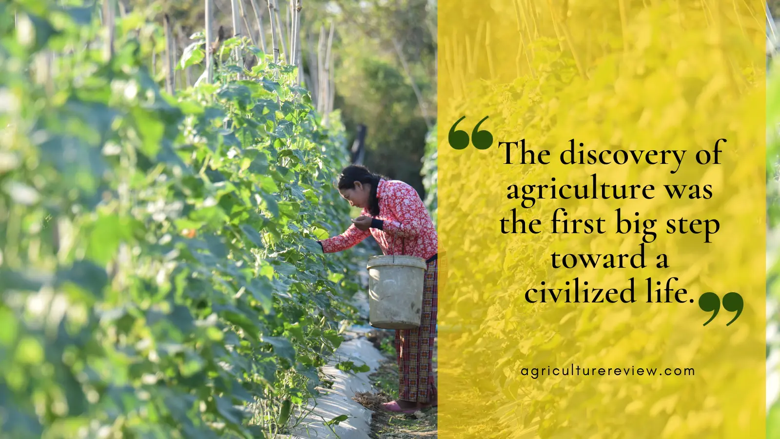 Crop quotes showing the beauty of a successful harvest