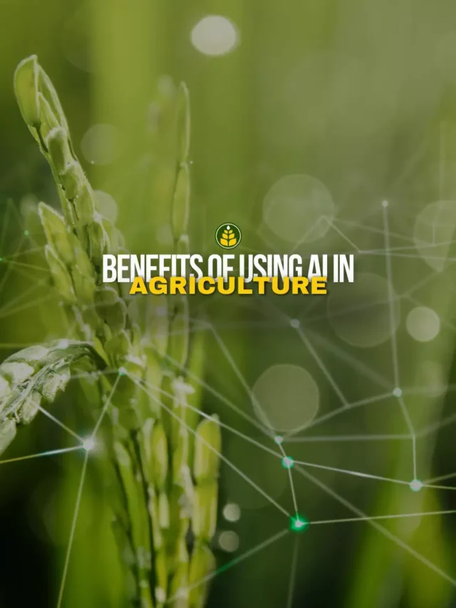 5-benefits-of-using-ai-in-agriculture