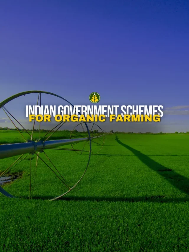 5-government-schemes-that-promote-organic-farming-in-india