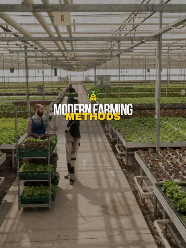 5-modern-farming-methods-that-you-must-know