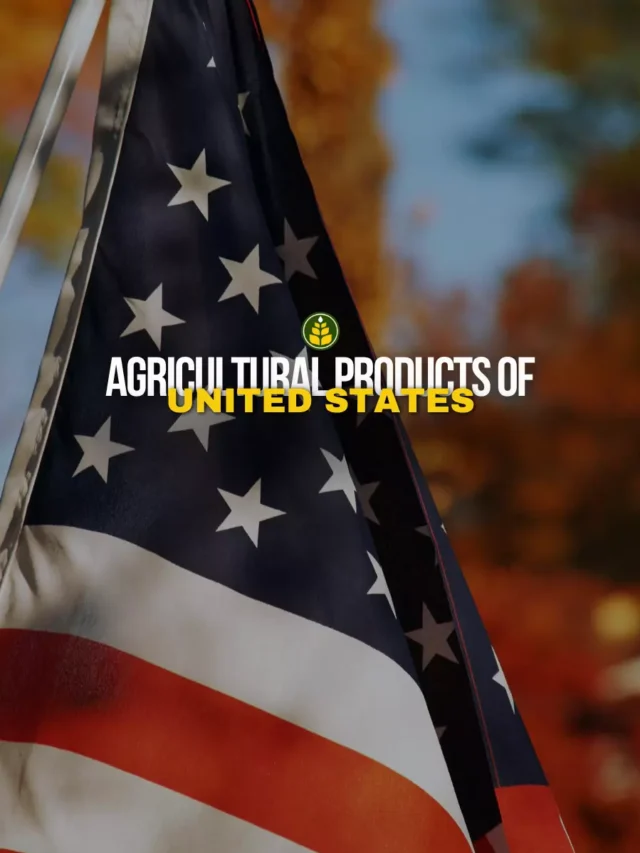 top-10-agriculture-products-of-the-united-states