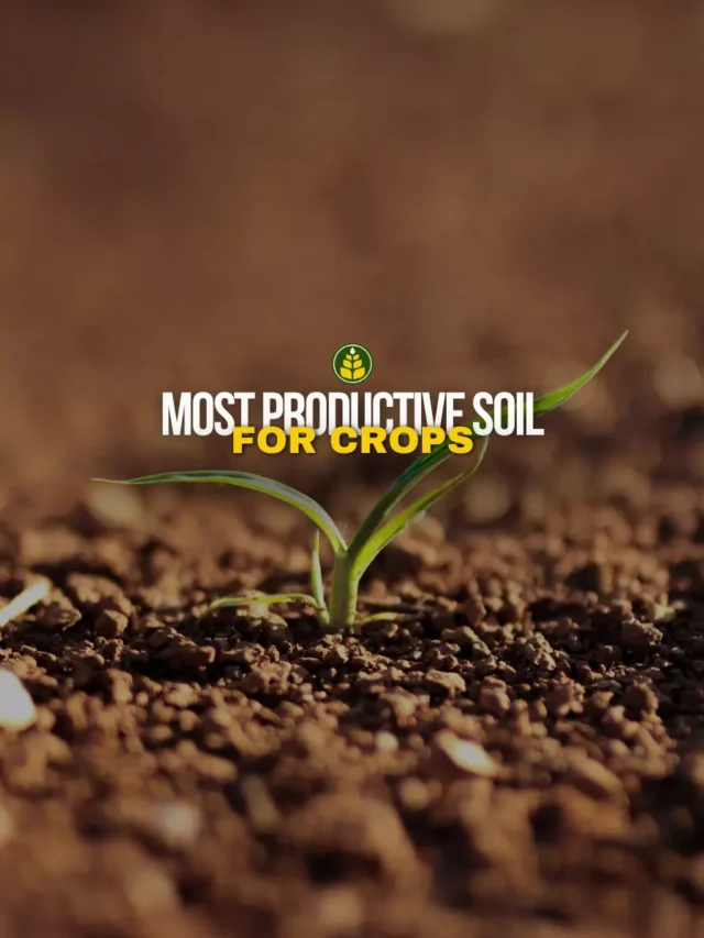 which-is-the-most-productive-soil-in-the-world