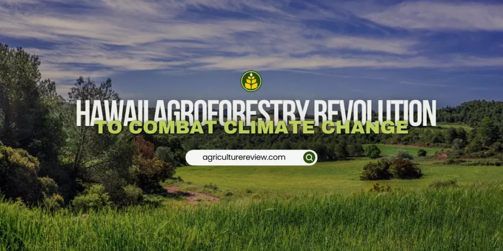 hawaii-agroforestry-revolution-in-the-fight-against-climate-change