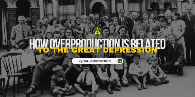 How did overproduction in the agricultural sector lead to the great depression?