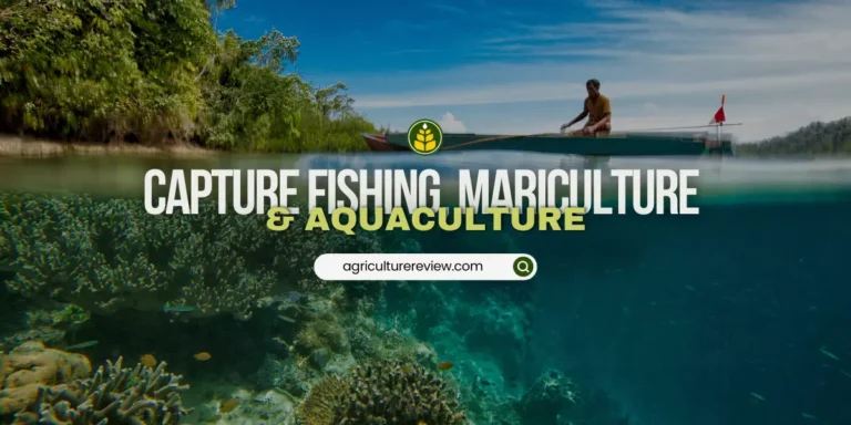 How do you differentiate between capture fishing mariculture and aquaculture