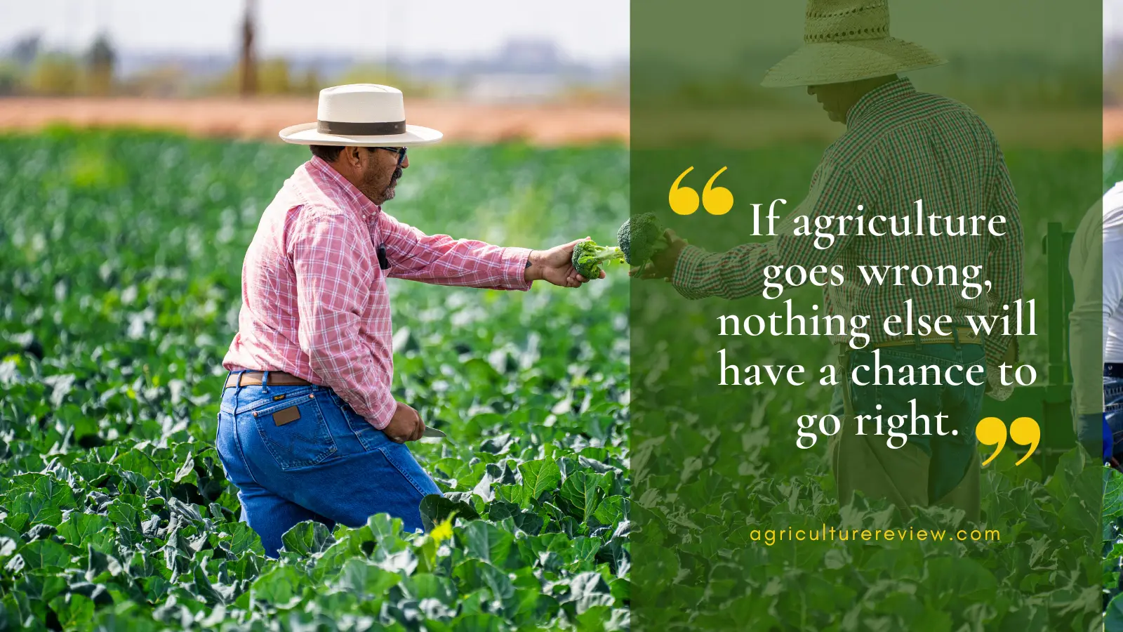Famous quotes on agriculture by M.S. Swaminathan