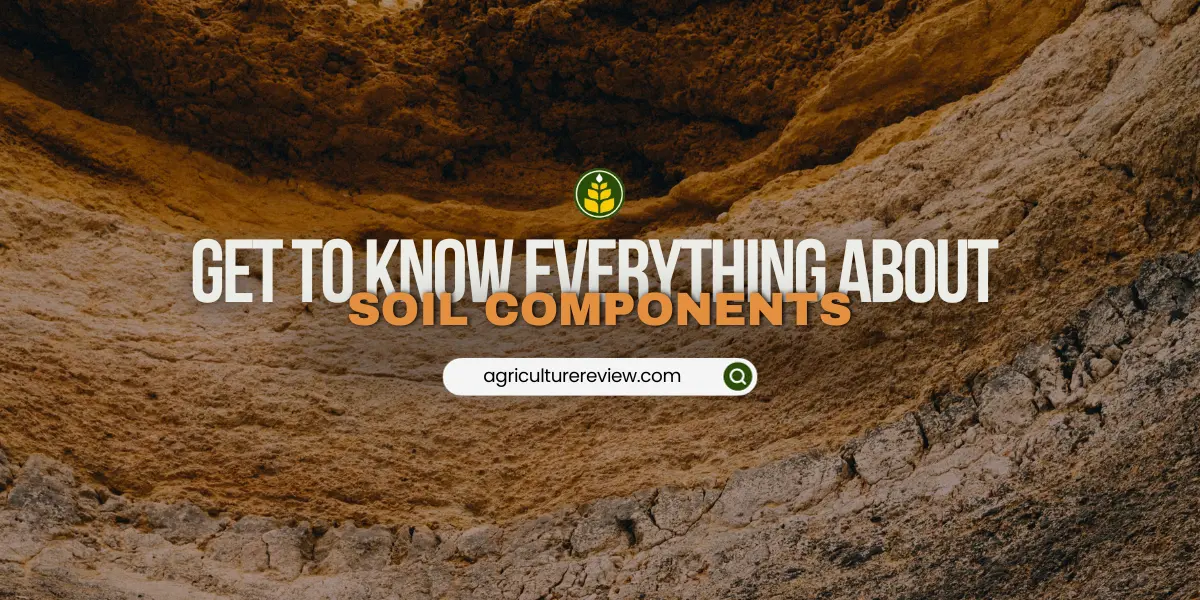 soil components