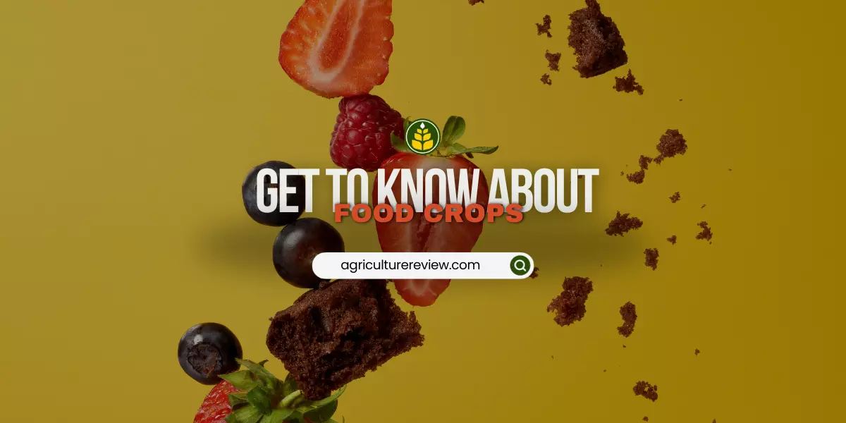 what-are-the-food-crops