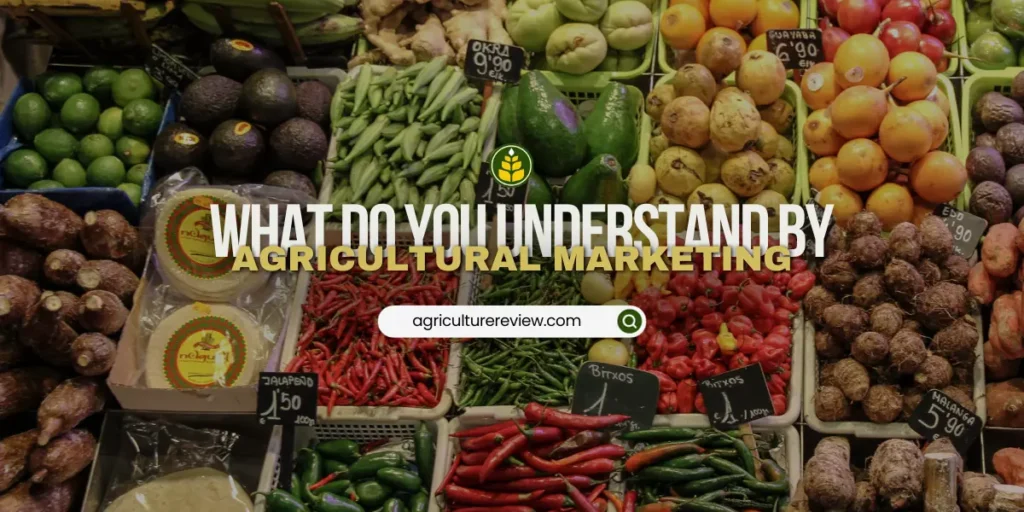 what-do-you-mean-by-agricultural-marketing