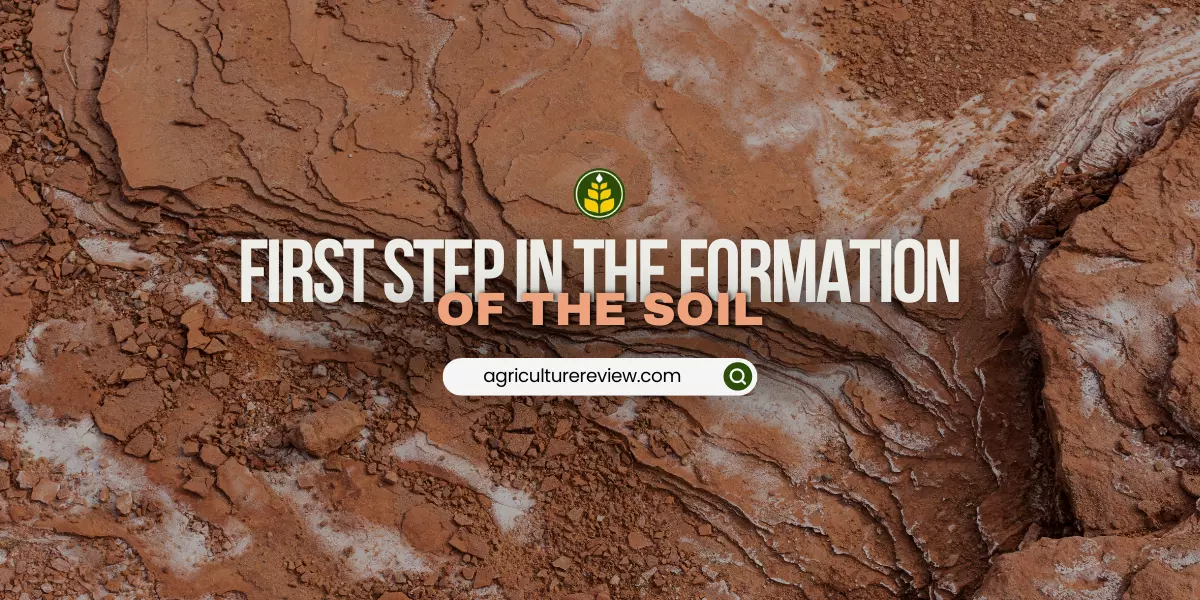what-process-breaks-down-a-sample-of-soil-from-the-mineral-parent-into-smaller-particles