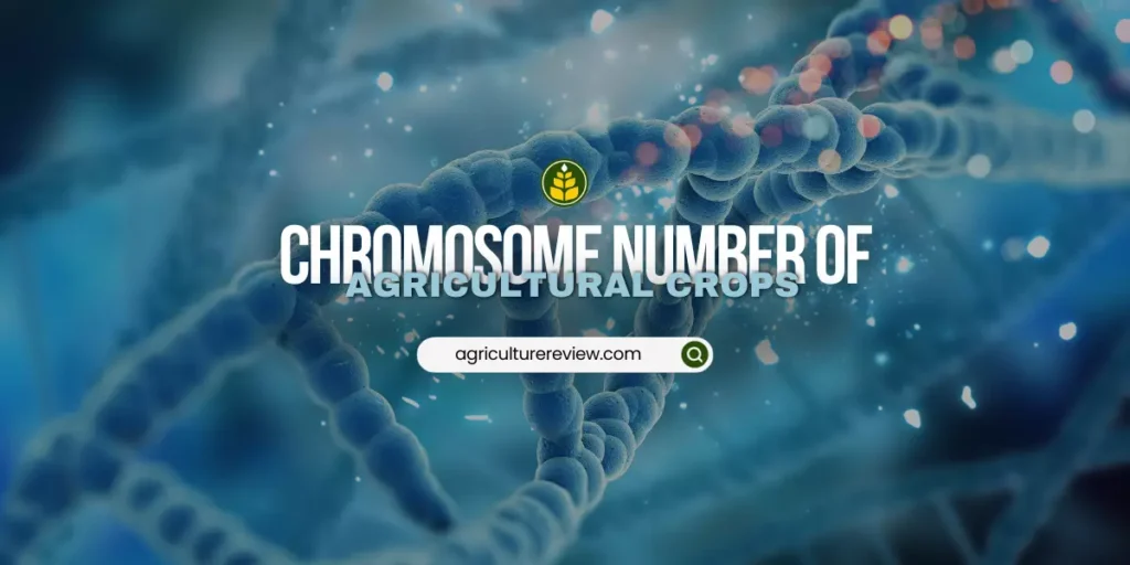 chromosome-number-of-plants
