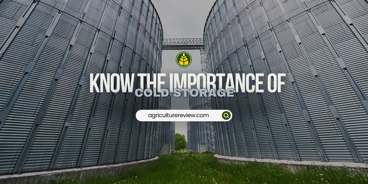 How The Cold Storage Unit Helps The Farmers? - Agriculture Review