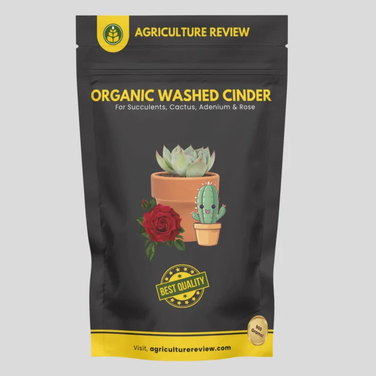 Organic Washed Cinder For Cacti, Succulents, Roses, And Adenium Plants