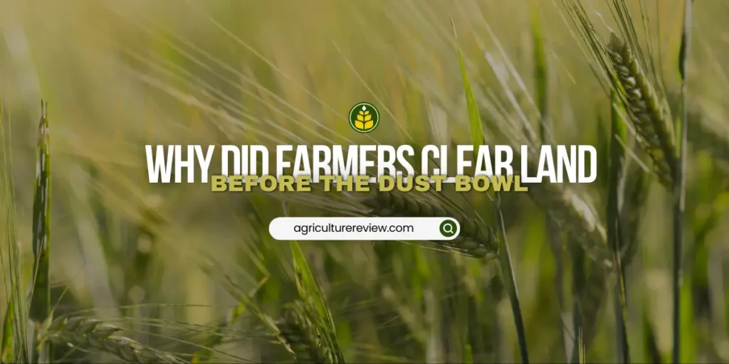 why-did-farmers-clear-more-land-for-farming-in-the-late-1920s-before-the-dust-bowl