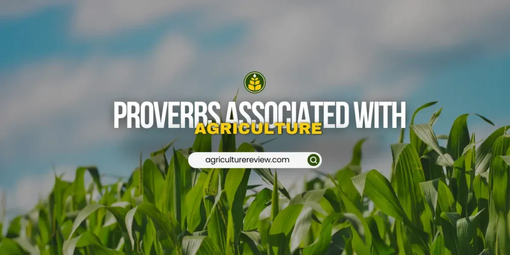 proverbs-associated-with-agriculture