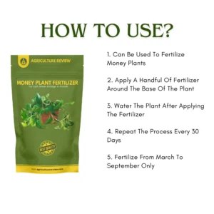 how-to-apply-money-plant-fertilizer