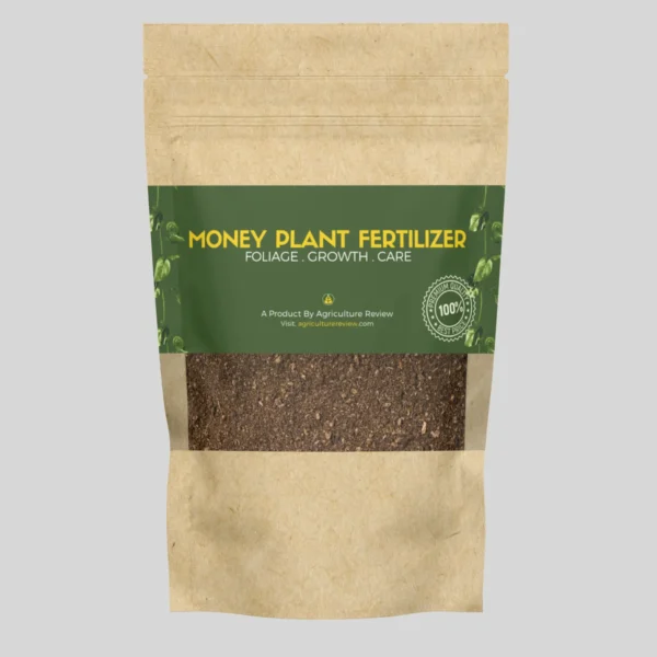 money-plant-fertilizer-by-agriculture-review