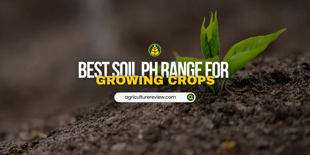 best-soil-ph-for-growing-crops