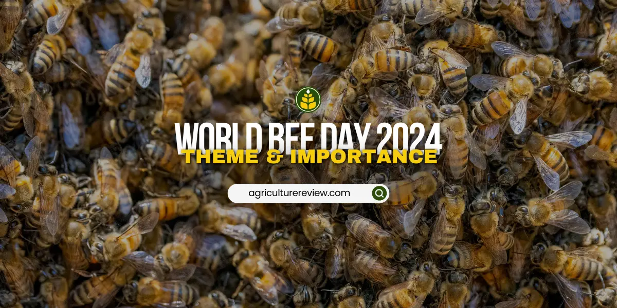 World Bee Day 2025 Honey, Healing, and the Hive Of Indian Beekeepers