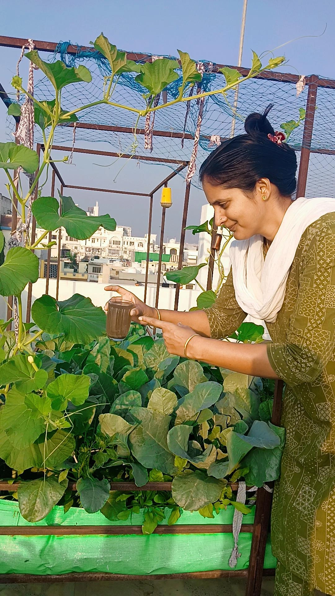 Applying biofertilizer