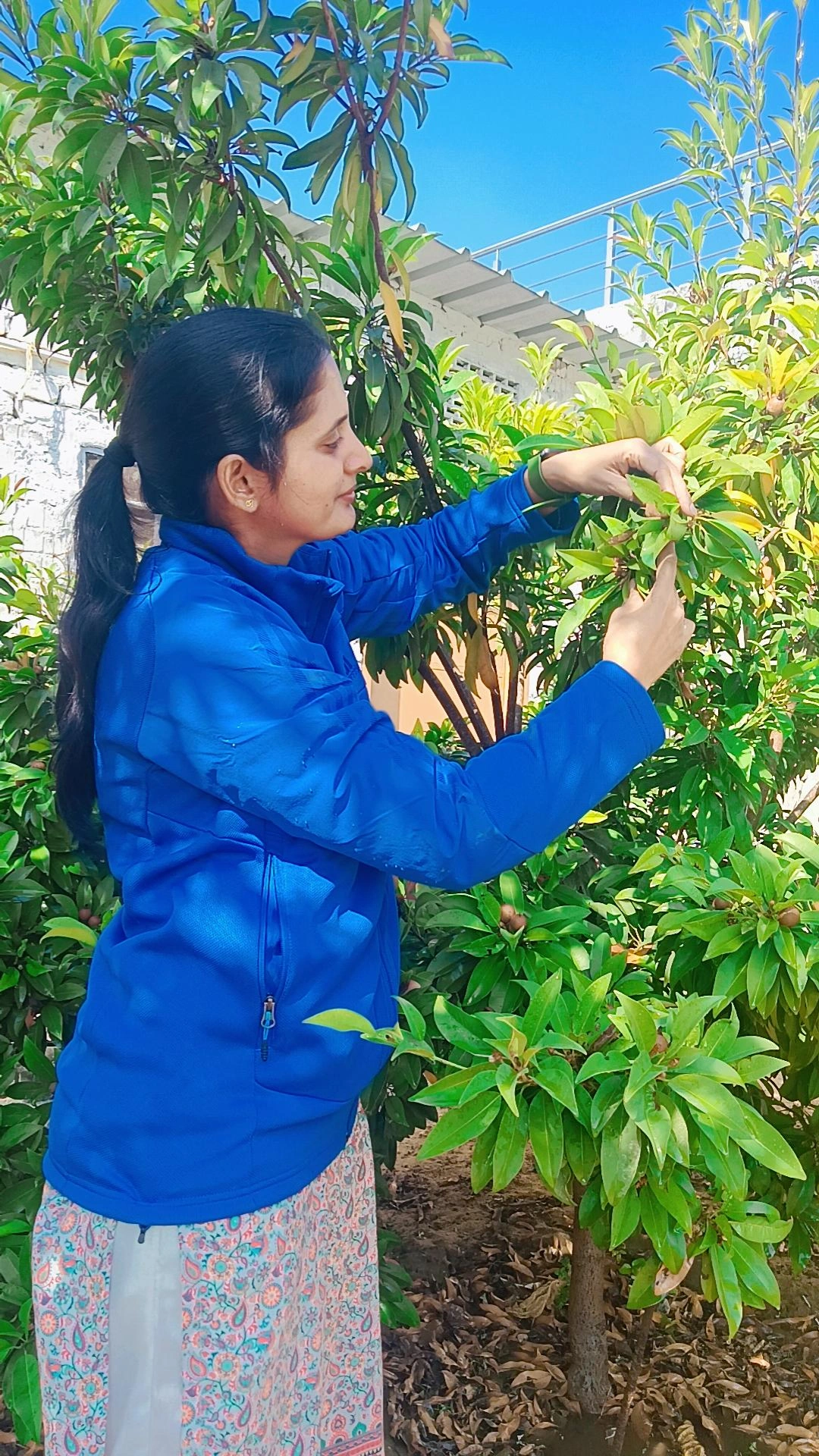 Inspecting plants