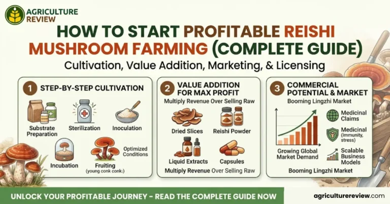 How to Start Profitable Reishi Mushroom Farming (Complete Guide)