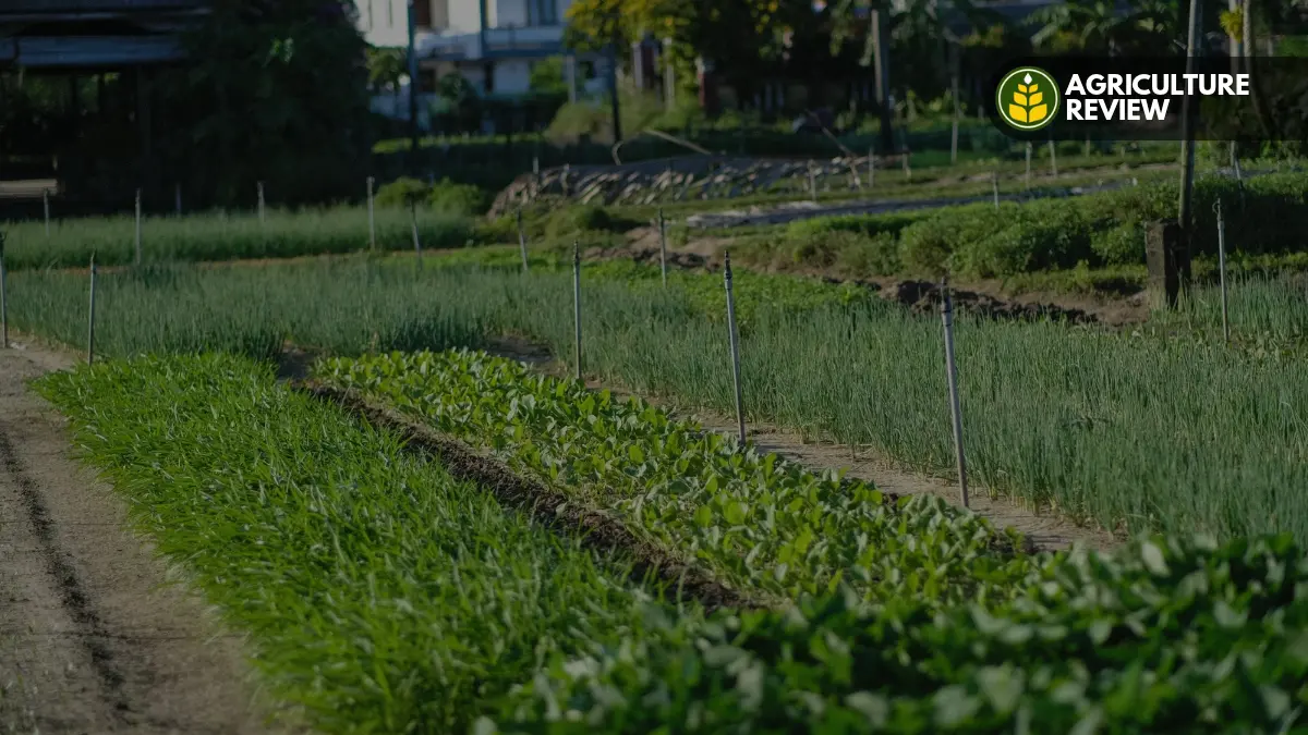 what-are-the-benefits-of-natural-farming
